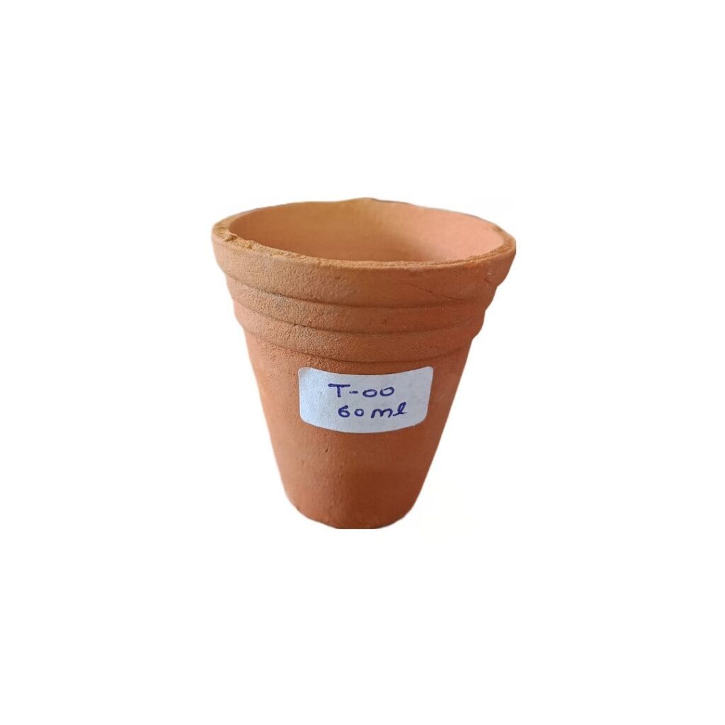 WhatsApp Image 2026-06-03 at 12.12.35